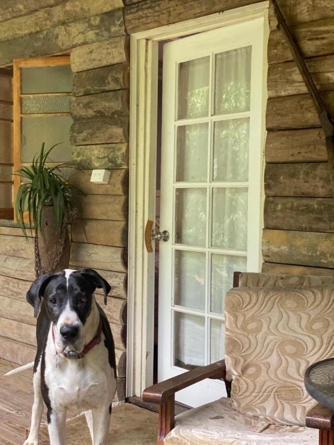 The Wake-up Call & Retreats - Noosa Hinterland