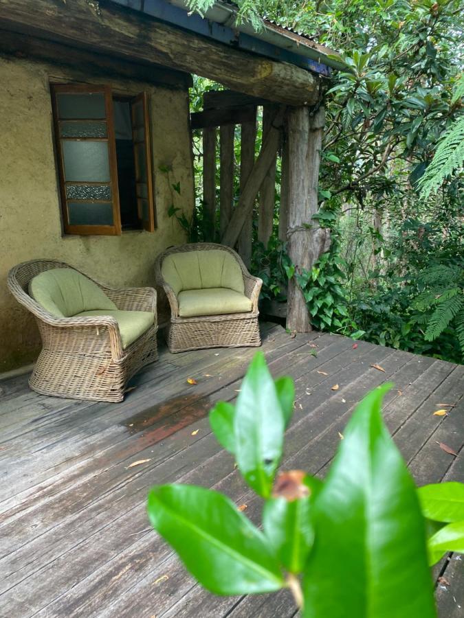 The Wake-up Call & Retreats - Noosa Hinterland
