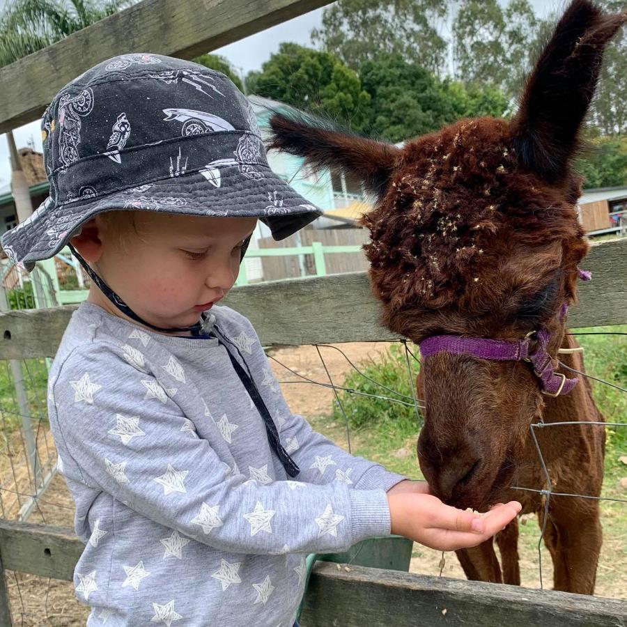 Rosecliffe Farm Farm stay *