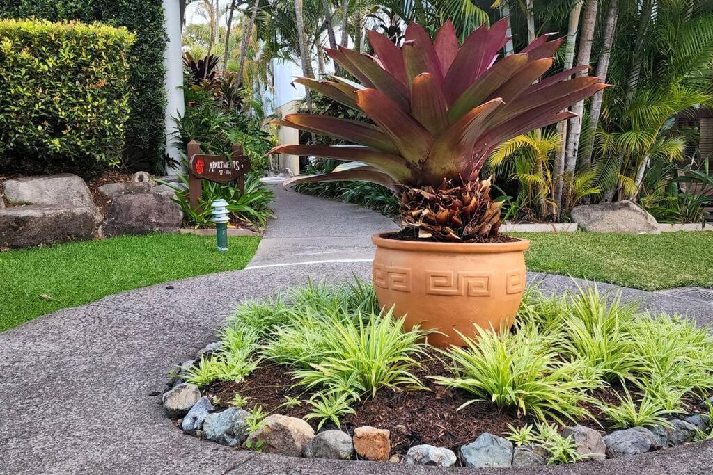 Apartamento Luxury Floor Sunset Noosaville