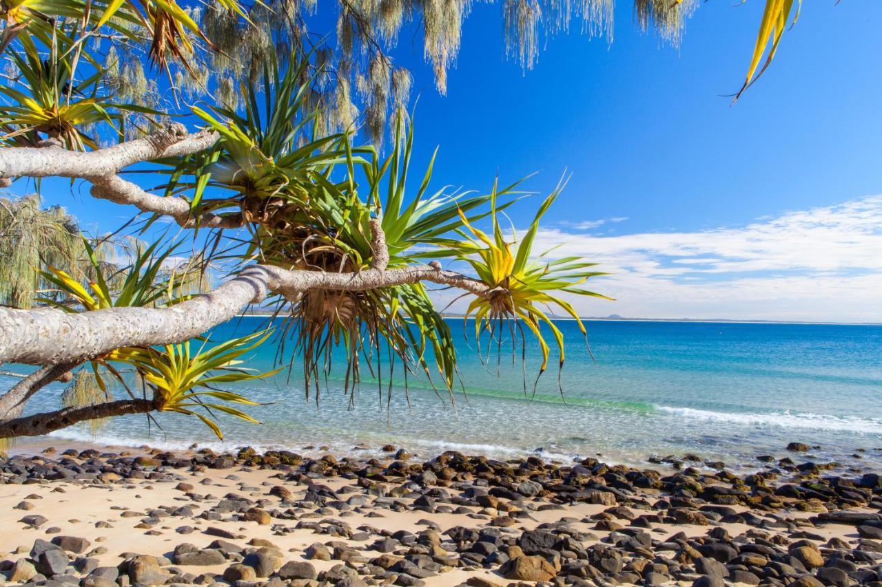 Cove Point 4 Noosa Heads