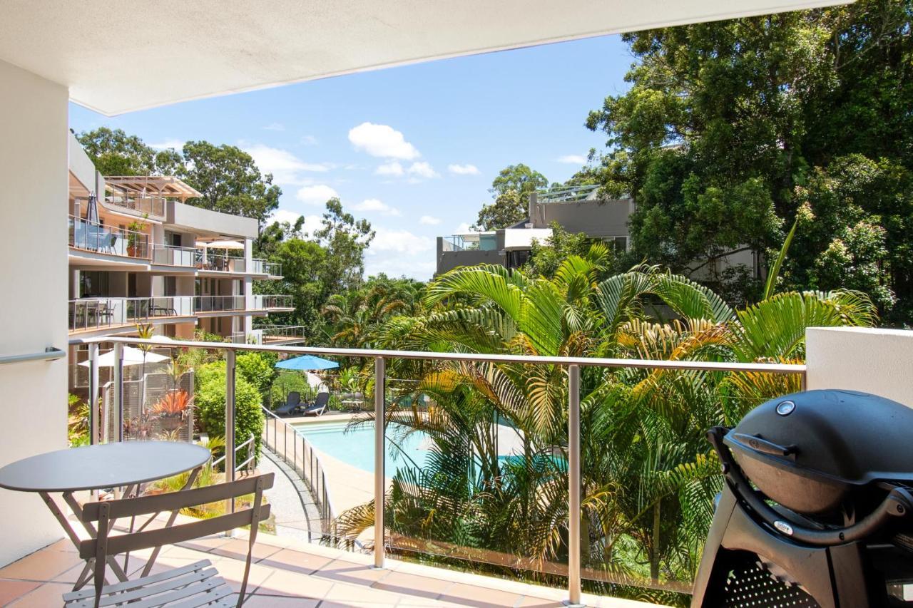 The Cove - 13 *