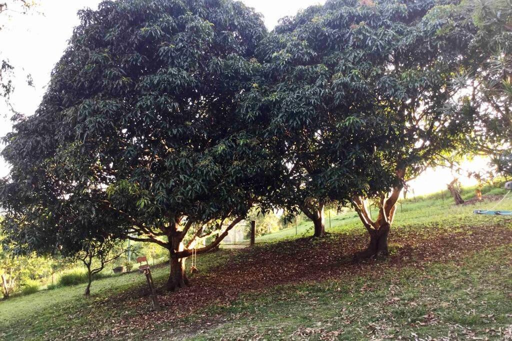 Green Hill Cottage, Heart Of Noosa Hinterland Holiday home *