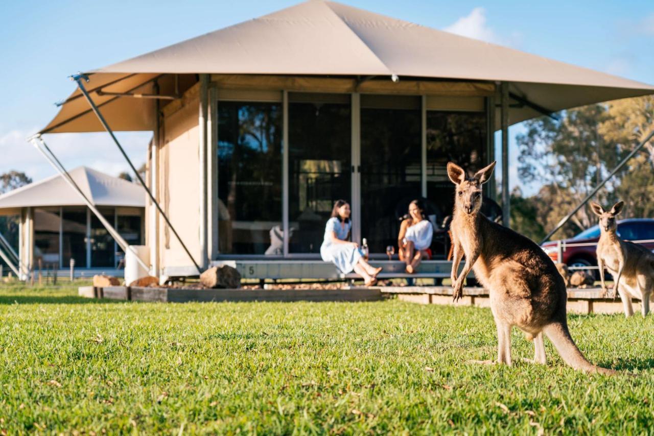 Luxury tent Habitat Noosa