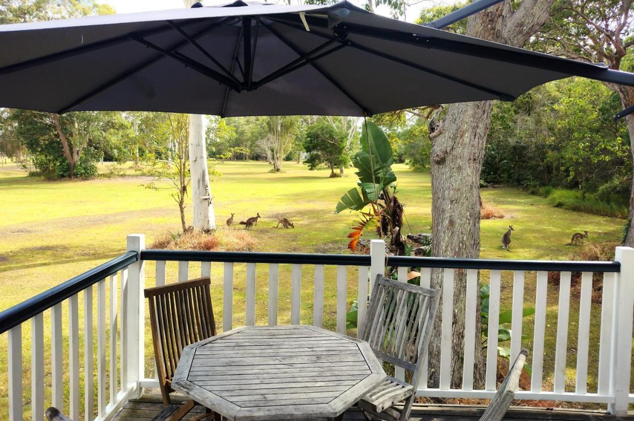 Weyba Noosa & Kangaroos