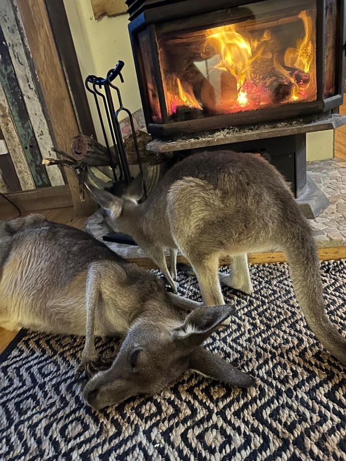 The Wake-up Call & Retreats - Noosa Hinterland