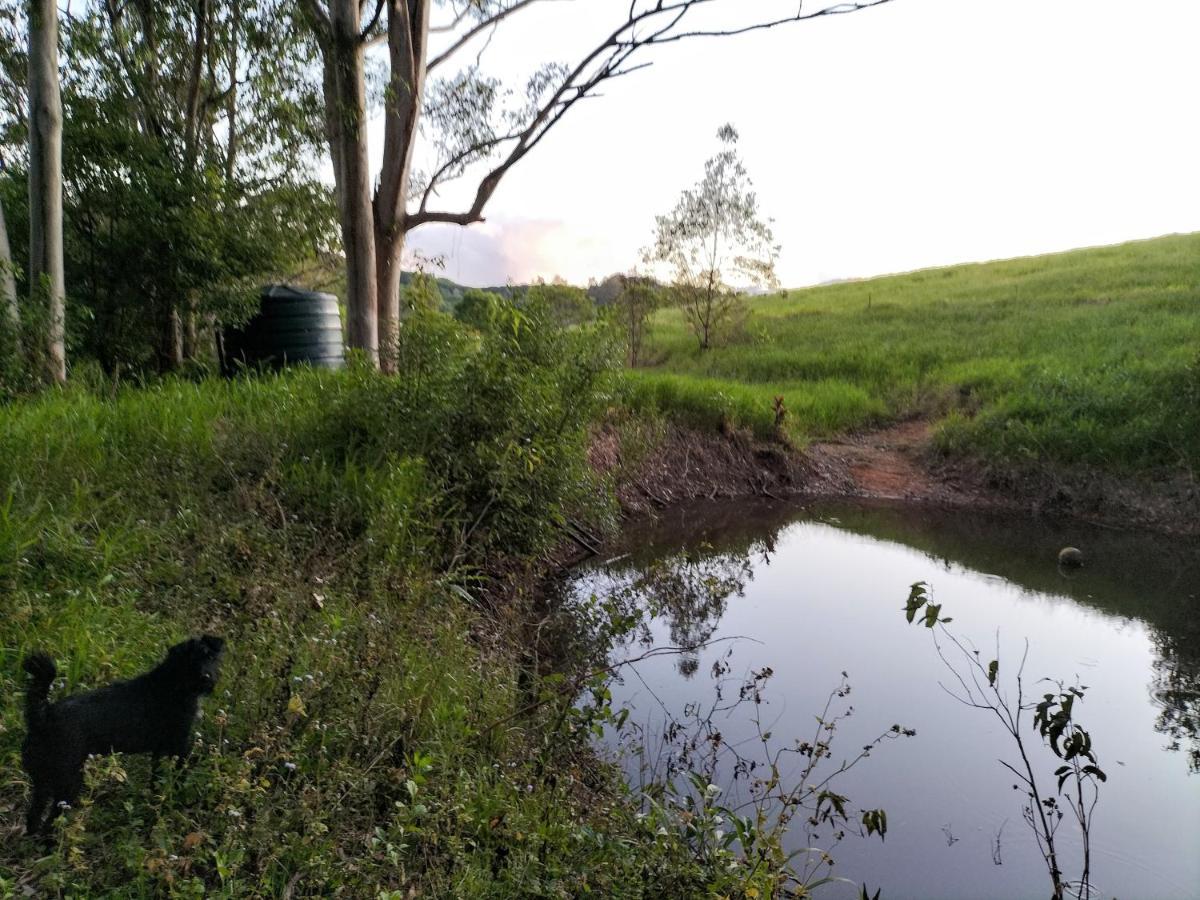 Green Hill Cottage, Heart Of Noosa Hinterland Holiday home *