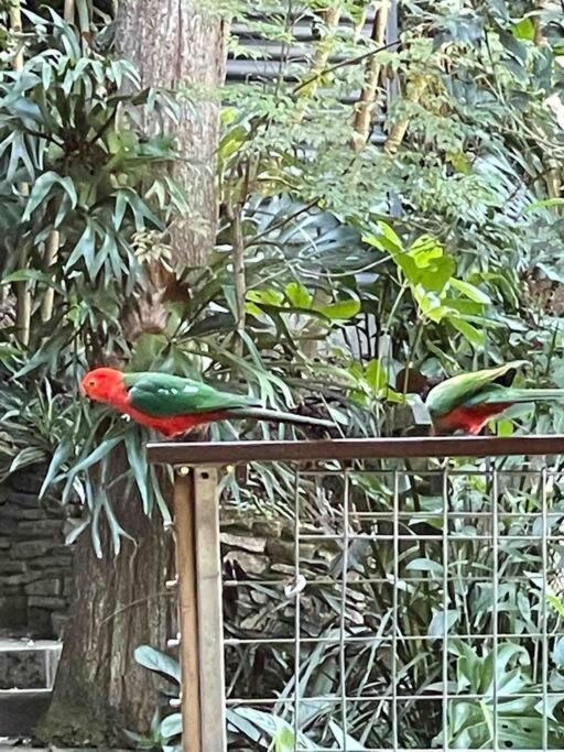 Country Creek Retreat * Cooroy