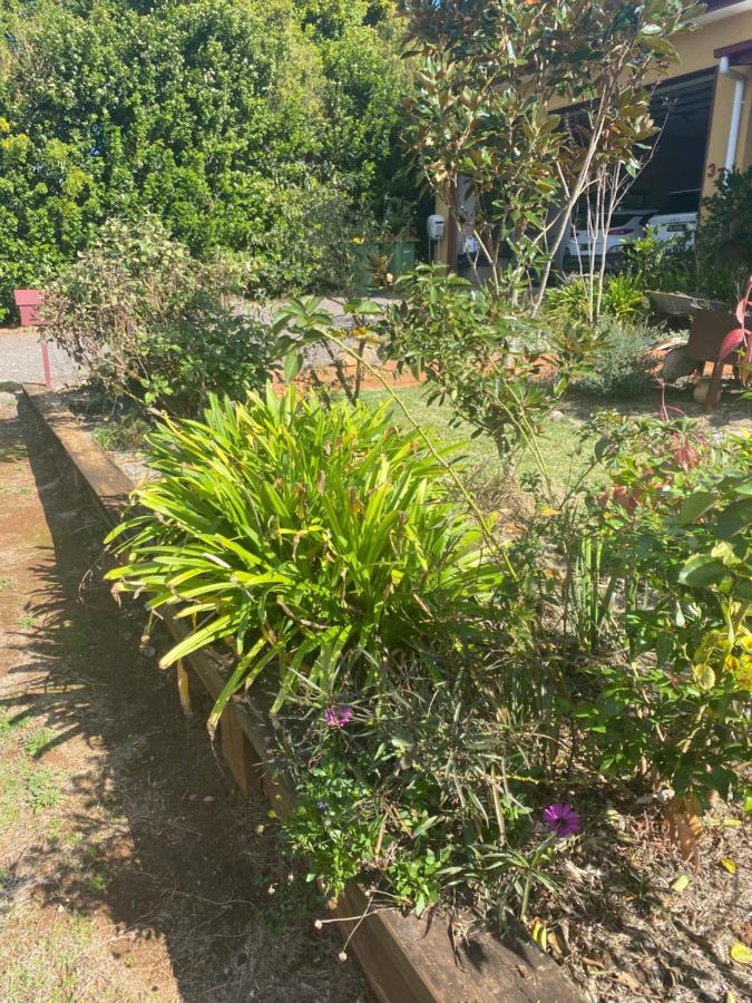 Noosa Hinterland Holiday home Pomona