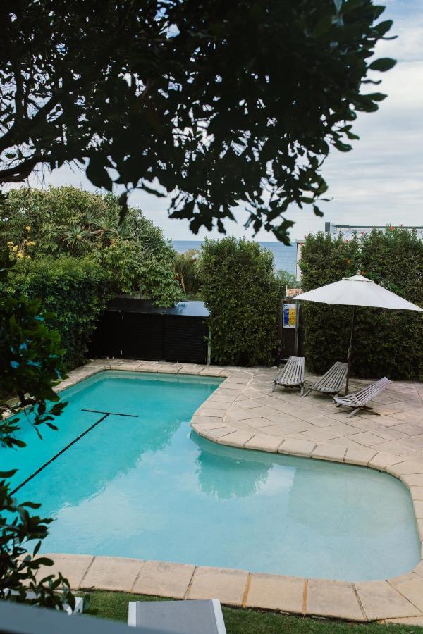 Tranquil Treetop Retreat With Pool And Ocean Views Apartment Sunshine Beach