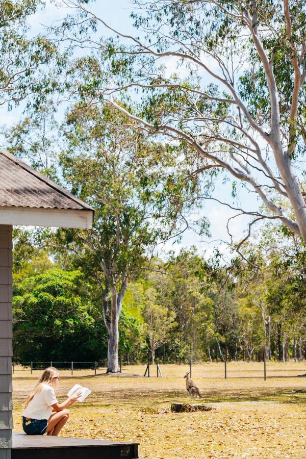 Albergue Kangarooms Noosa Everglades *