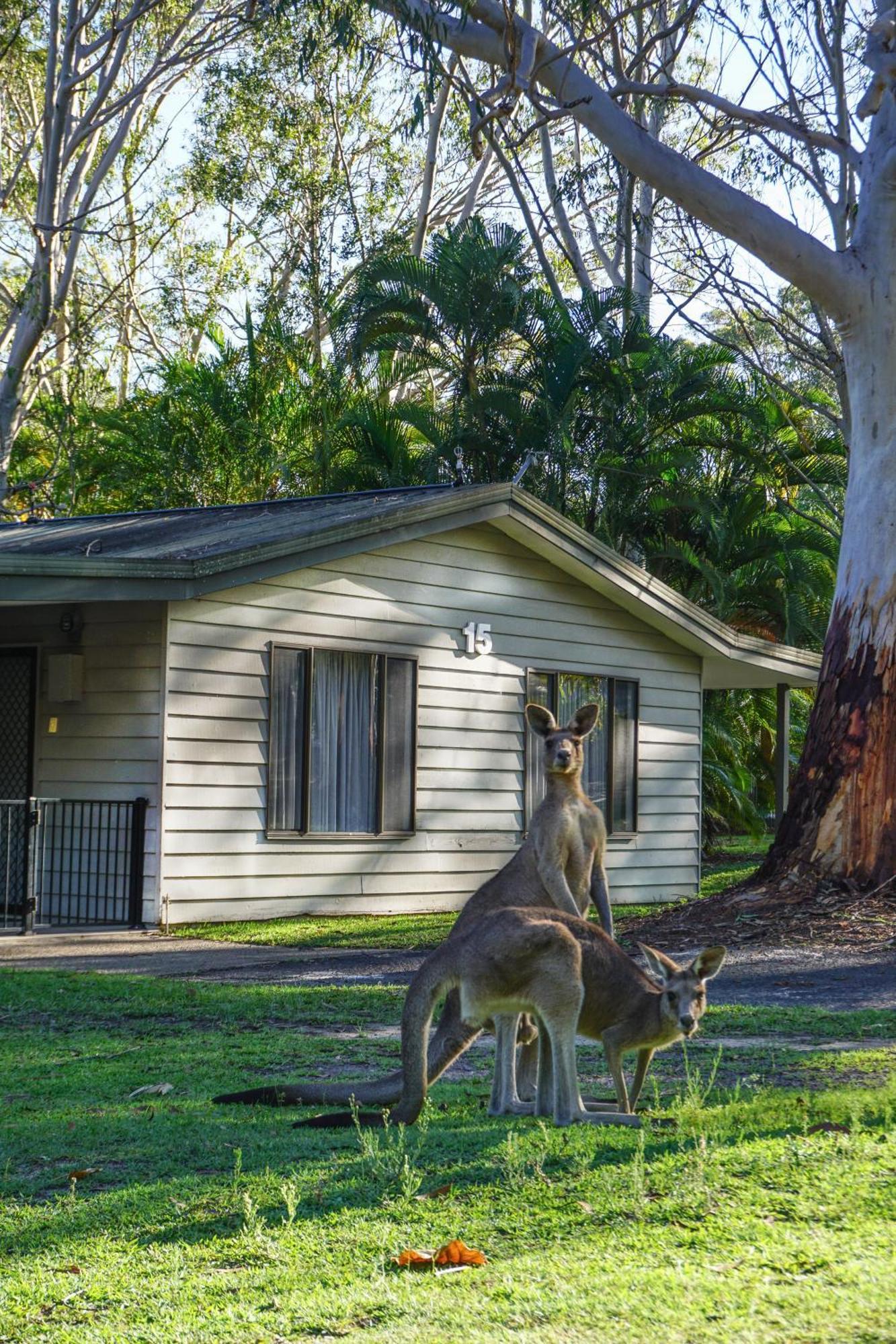 Big4 Resort Noosa North Shore