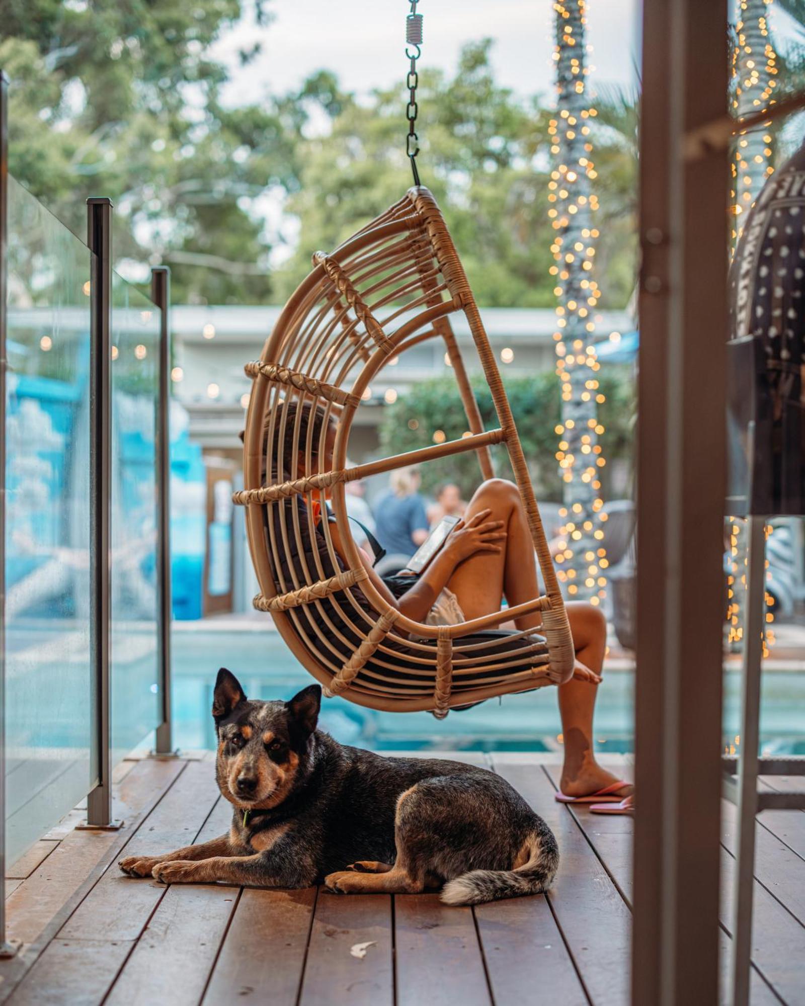 Noosa Flashpackers Hostel Sunshine Beach