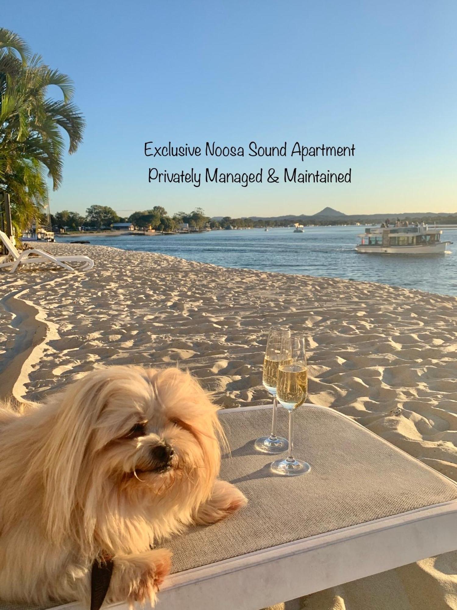 Luxury * Noosa Heads