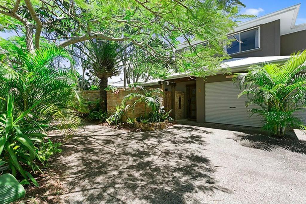 Apartment Pet Friendly Tropical Escape In Sunshine Sunshine Beach