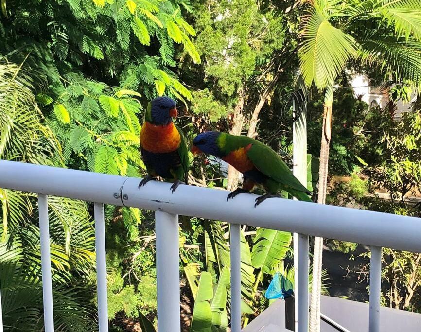 Hampton's Style Retreat In Noosa's Heart Apartment *