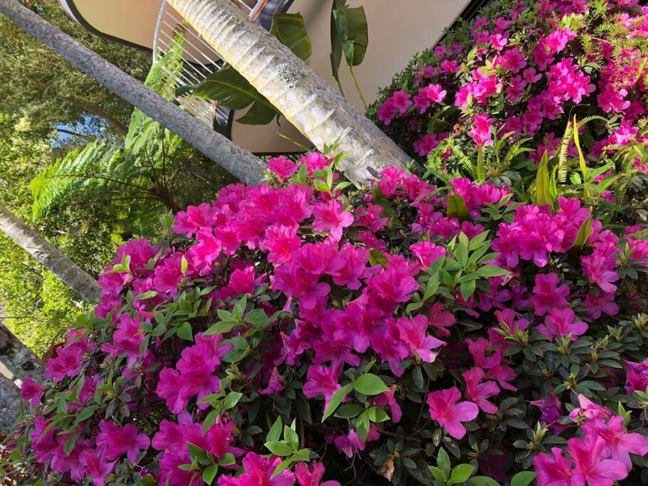 Hampton's Style Retreat In Noosa's Heart Apartment Noosa Heads