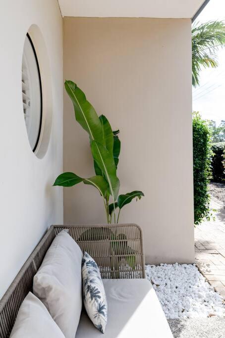 Coastal Luxe With Pool ~ Walk To Noosa River Apartment *