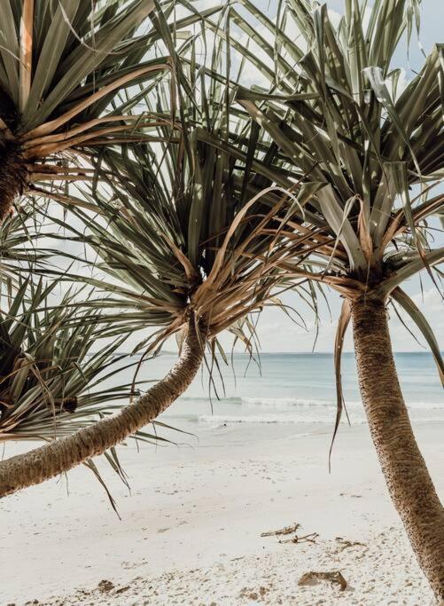 Apartment Belmore Palms ~ 2 Min To Surfie, Village & Sunshine Beach