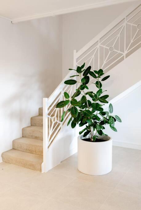 Apartamento Pooch Friendly Renovated Retreat With Views Sunrise Beach