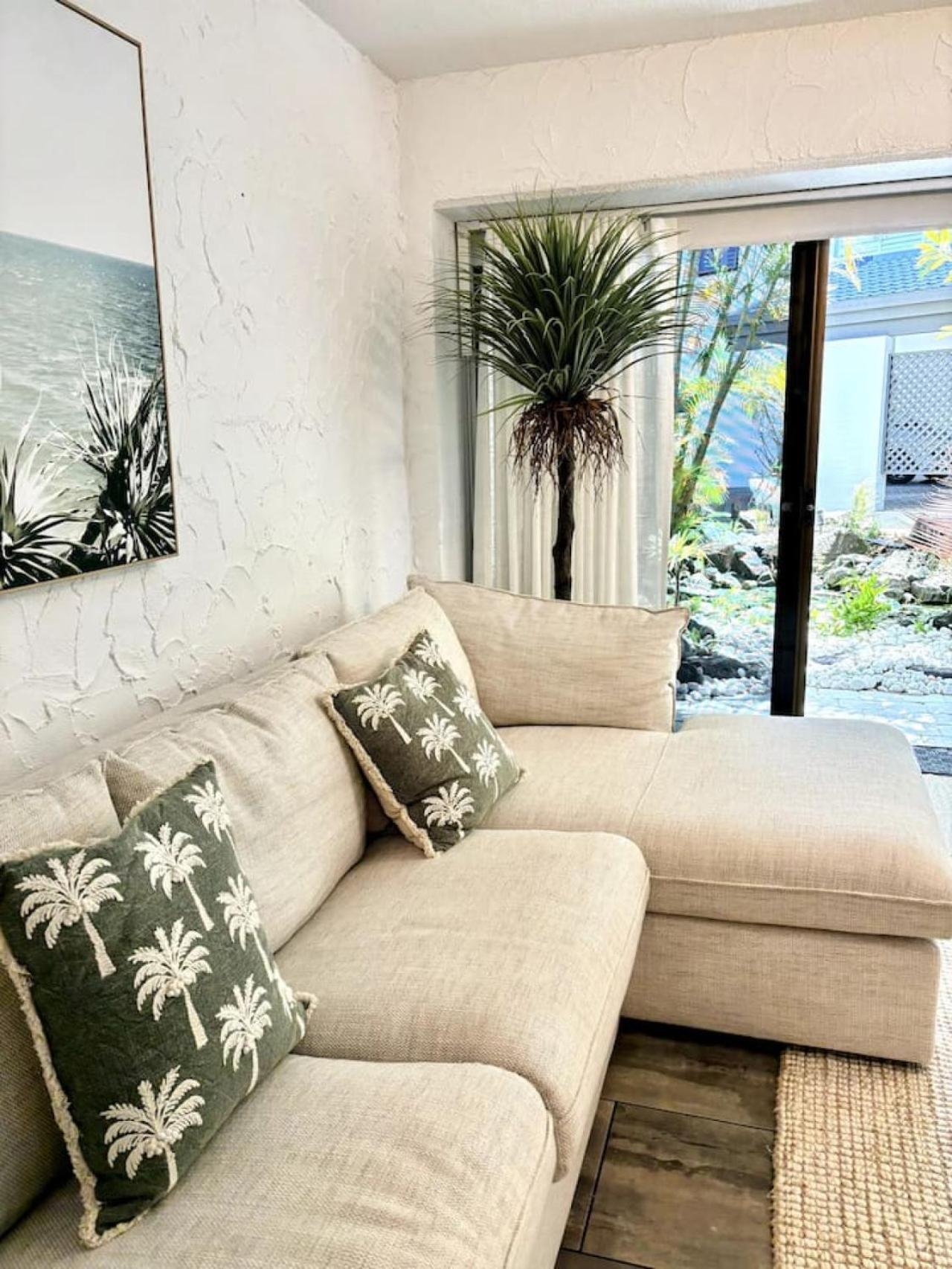Rainforest Paradise In The Palms