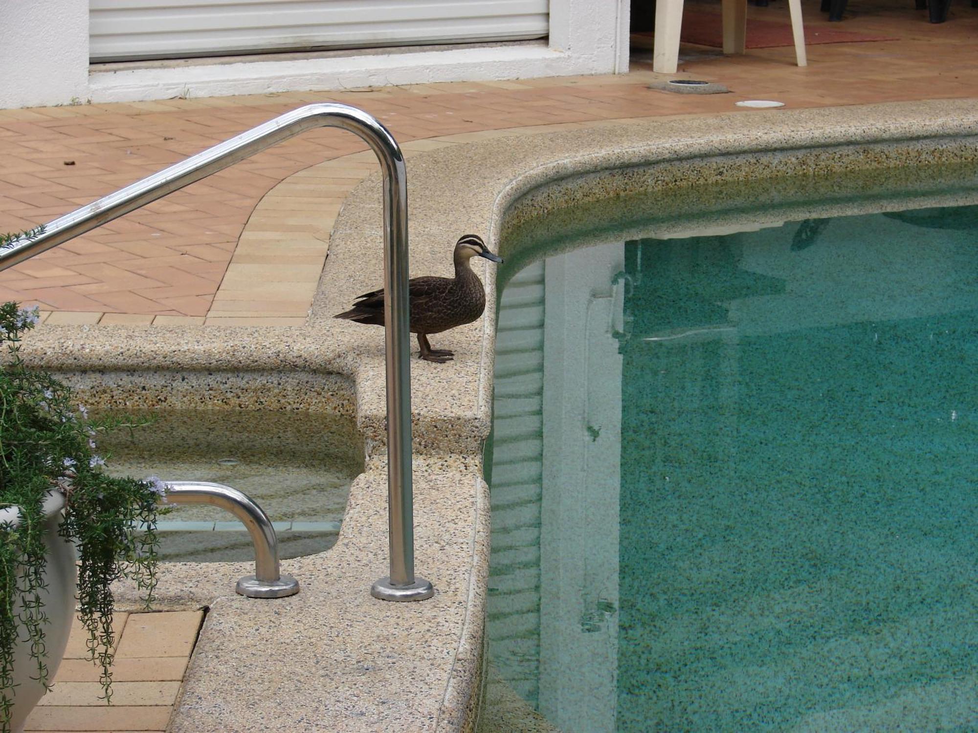 Resort Portside Noosa Waters 4*