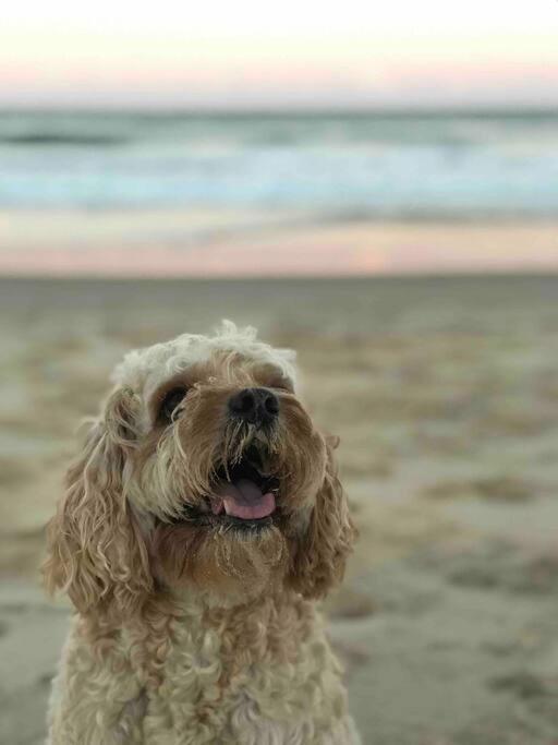 Villa Summer Salt At Sunshine With Pets And Heated Pool *