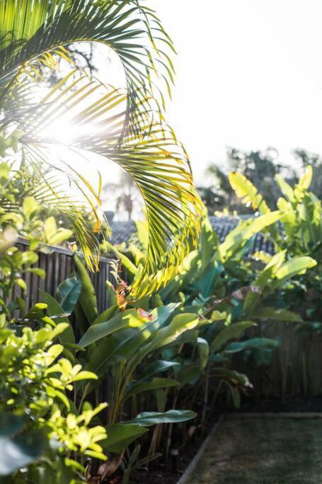 Apartment 'sunshine Bungalow' - Beautiful Noosa Sunshine Beach