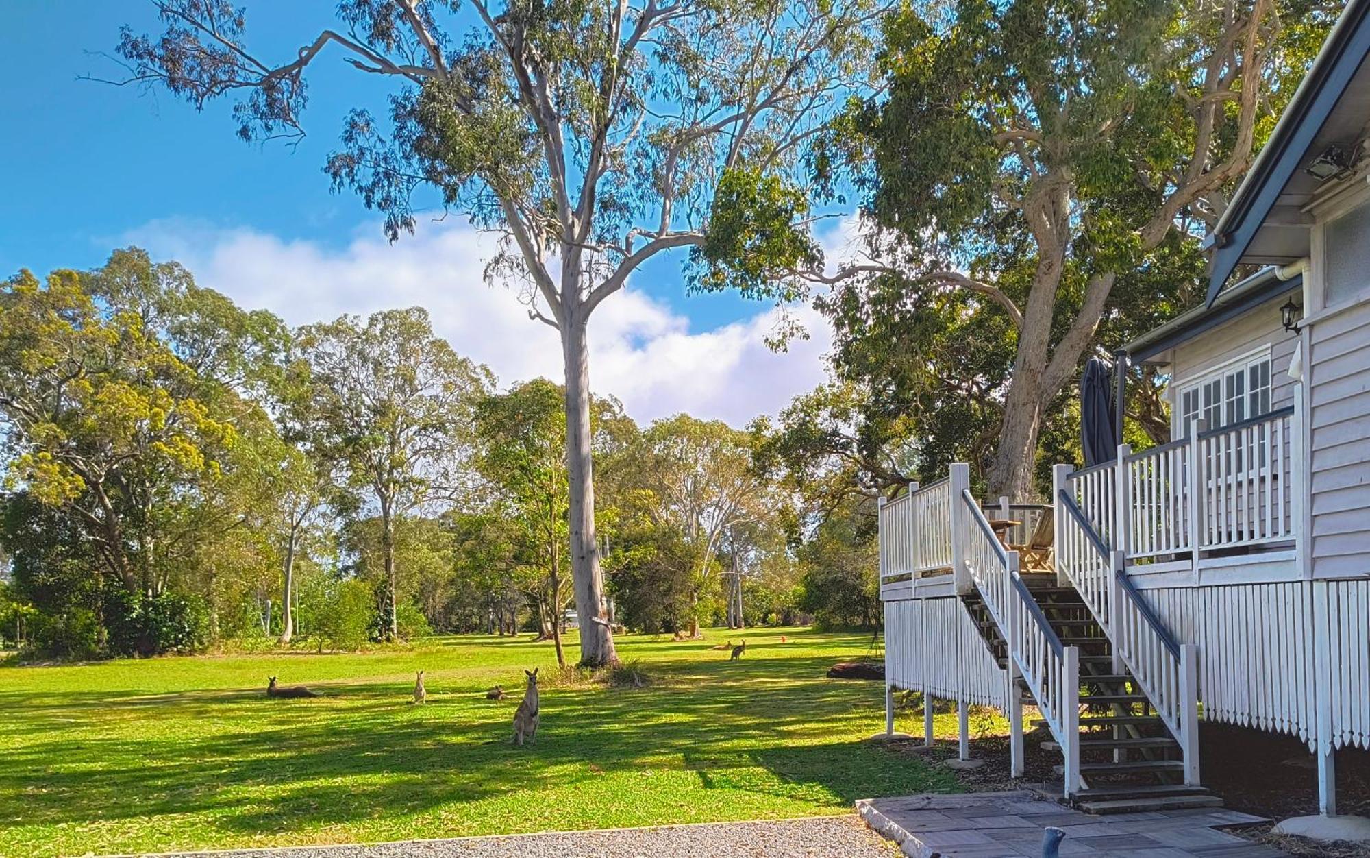 Lodge Weyba Noosa & Kangaroos