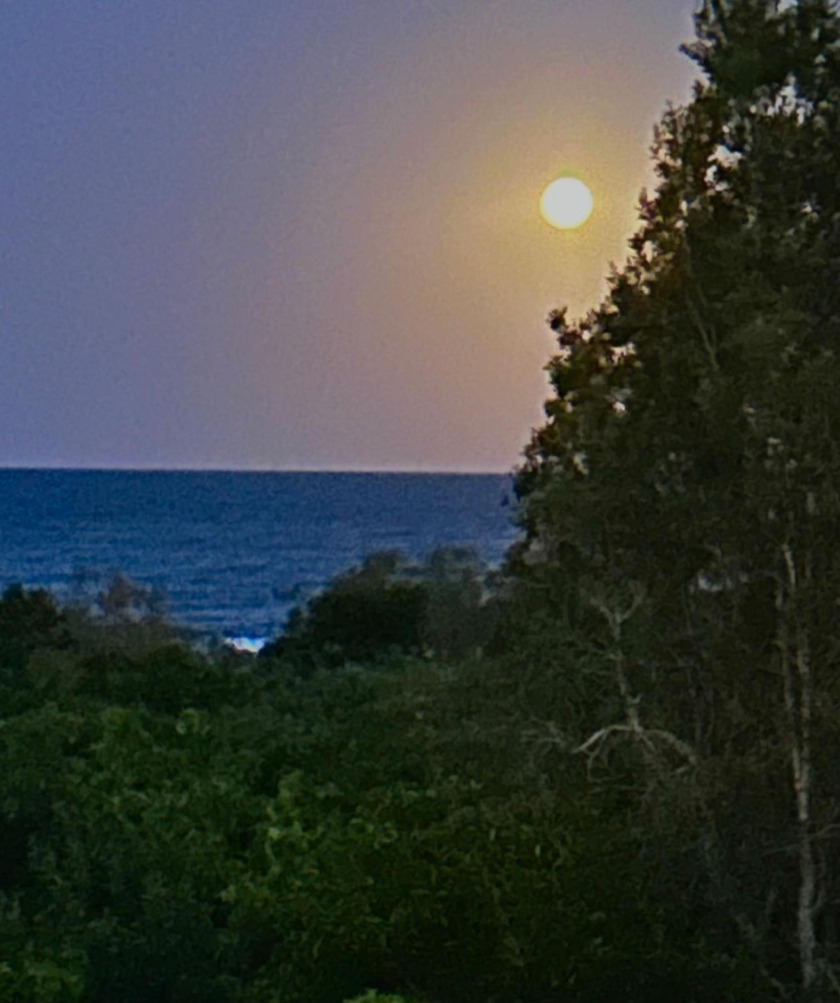 House 16 Peregian * Peregian Beach