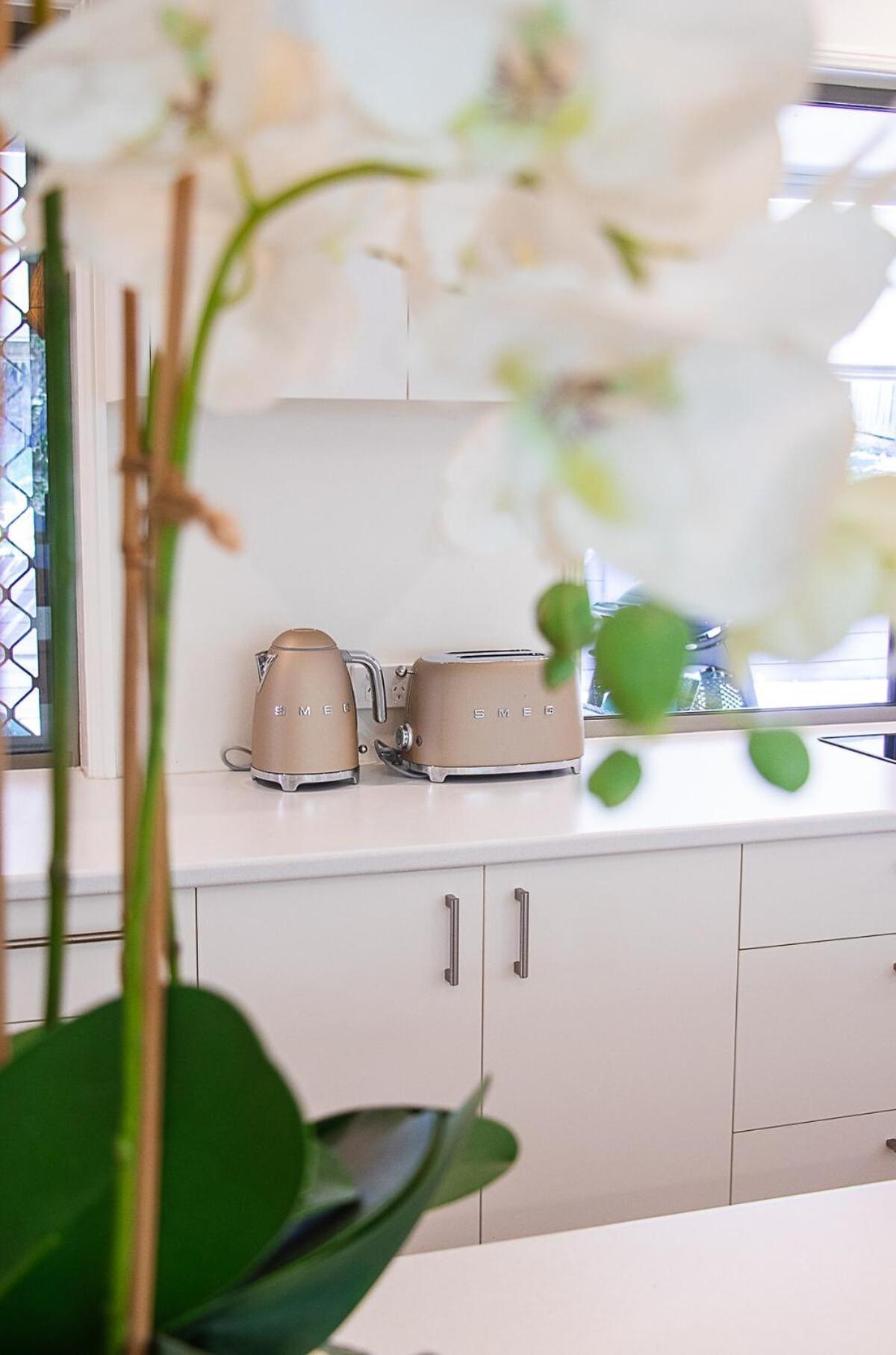 Endless Summer Retreat-pet Friendly, Walk To Shops Noosa Heads