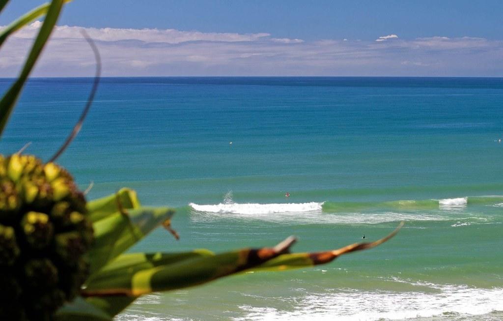 Holiday home Ocean Panorama With Private Pool! Noosa Heads