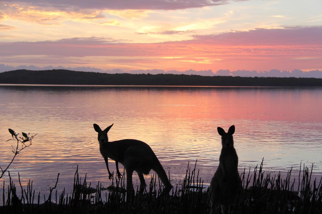 Eumarella Shores Noosa Retreat 4* Noosaville