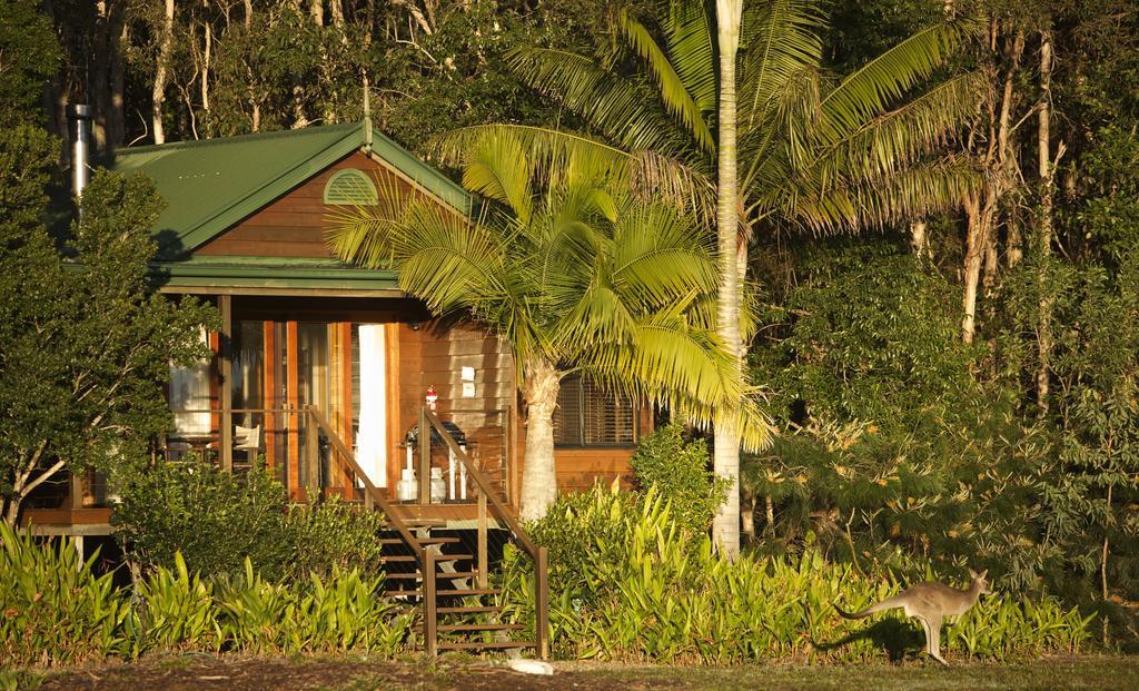Weyba Noosa Bed & Breakfast Peregian Beach