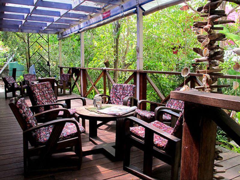 Dolphins Backpackers Hostel