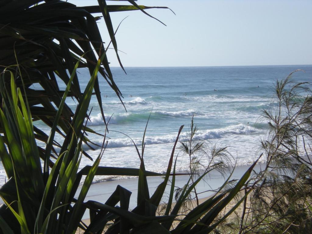 Horizons At Peregian