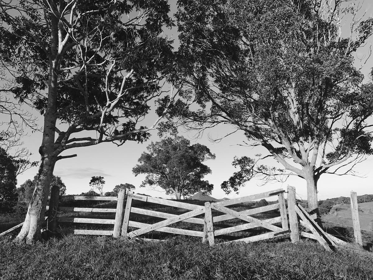 Thirlestane Farm & Barn Cooroy