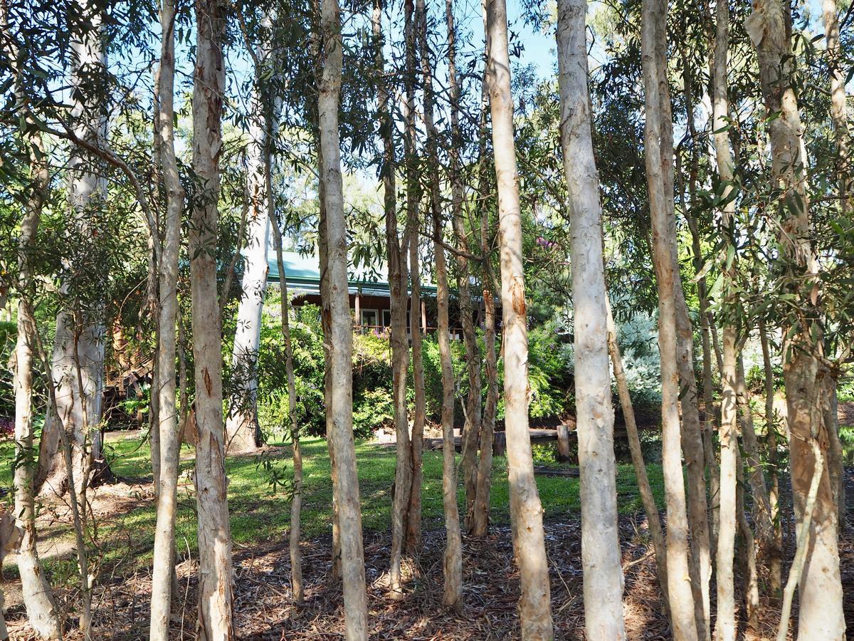 Weyba Noosa Bed & Breakfast Peregian Beach