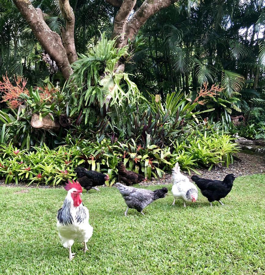 Eden Rest Cooroy