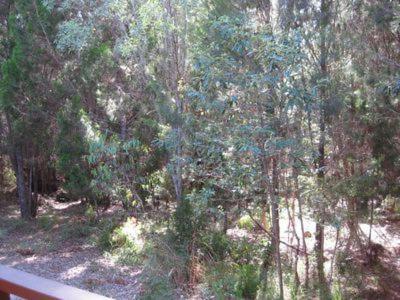The Sanctuary Noosa North Shore