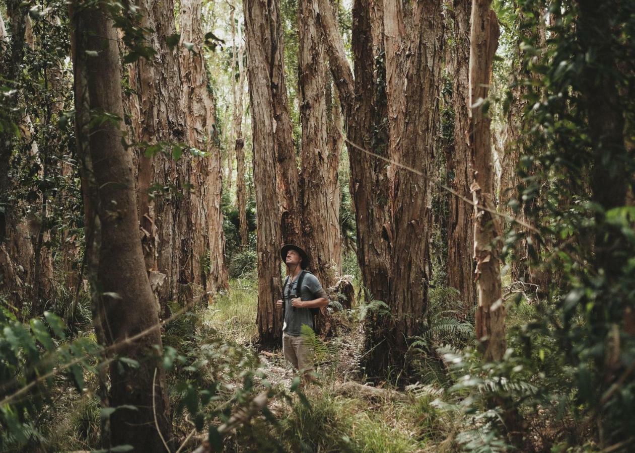 Habitat Noosa Cootharaba