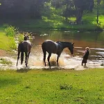 The Wake-Up Call Accommodation & Retreats - Noosa Hinterland