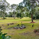 Lake Weyba Noosa Lodge & Kangaroos
