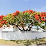 Poinciana House—Luxury Noosa Retreat Close To Beach