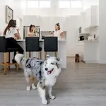 Family & Pet-Friendly Luxury Near Hastings St