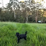 Green Hill Cottage, Heart Of Noosa Hinterland