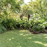 Pura Vida
