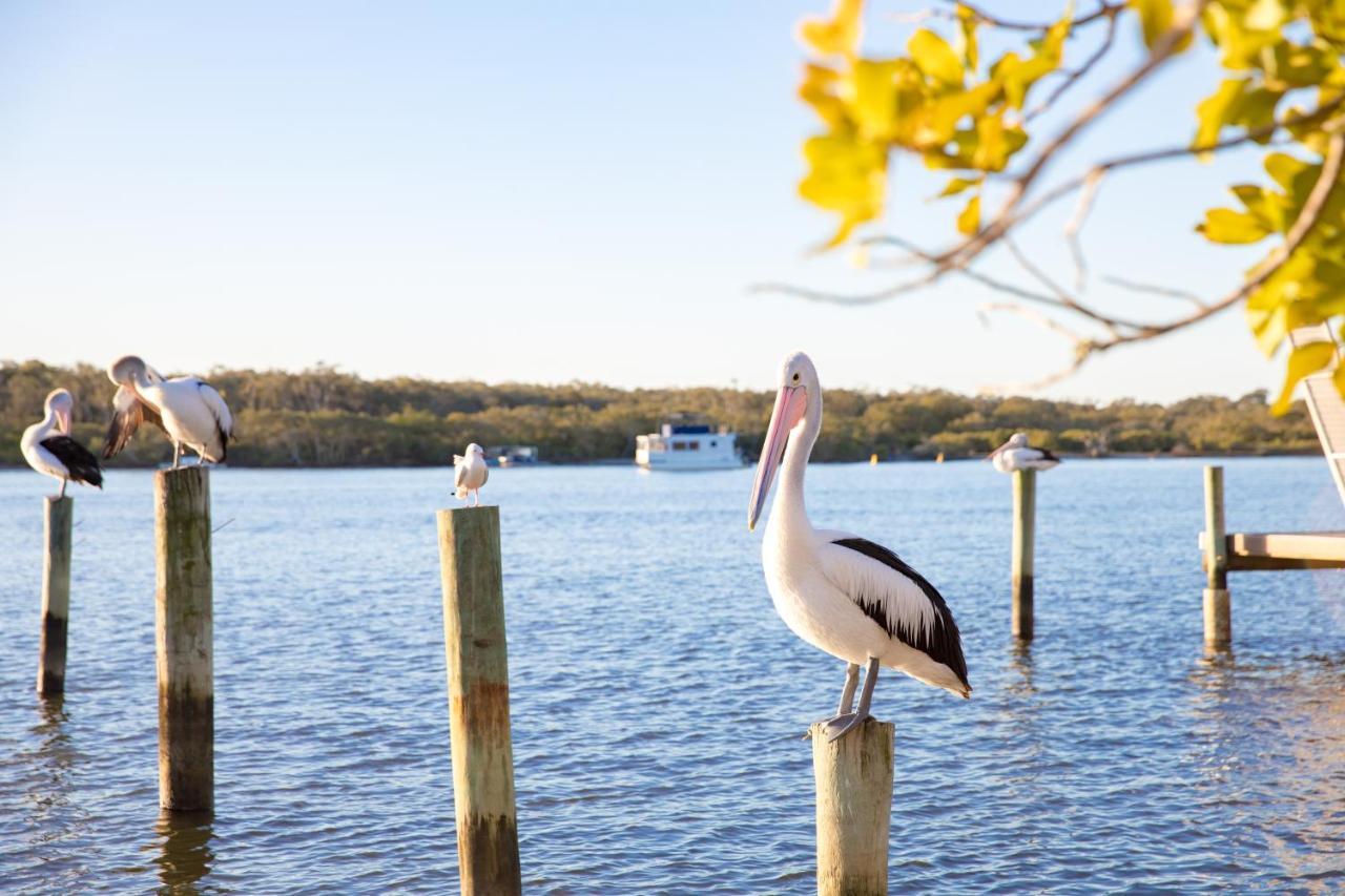 Resort The Islander Noosa 3*