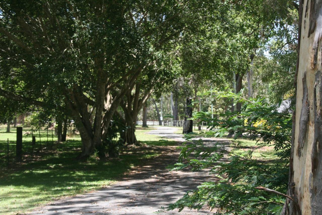 Lodge Weyba Noosa & Kangaroos