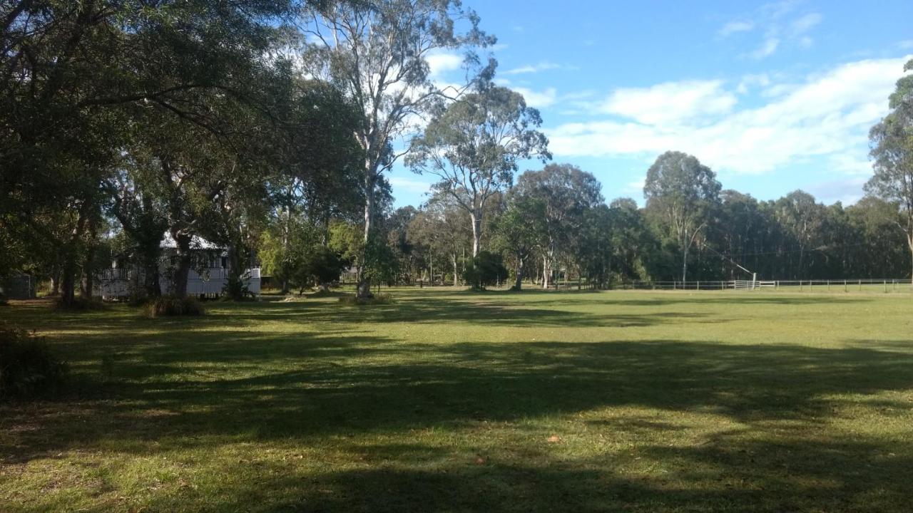 Weyba Noosa & Kangaroos *